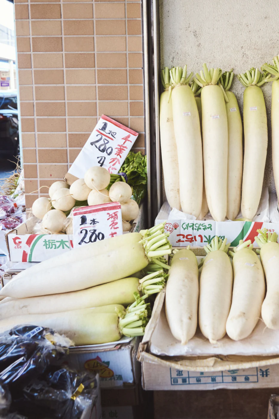 Daikon Japanese Radish Seeds - Image 2