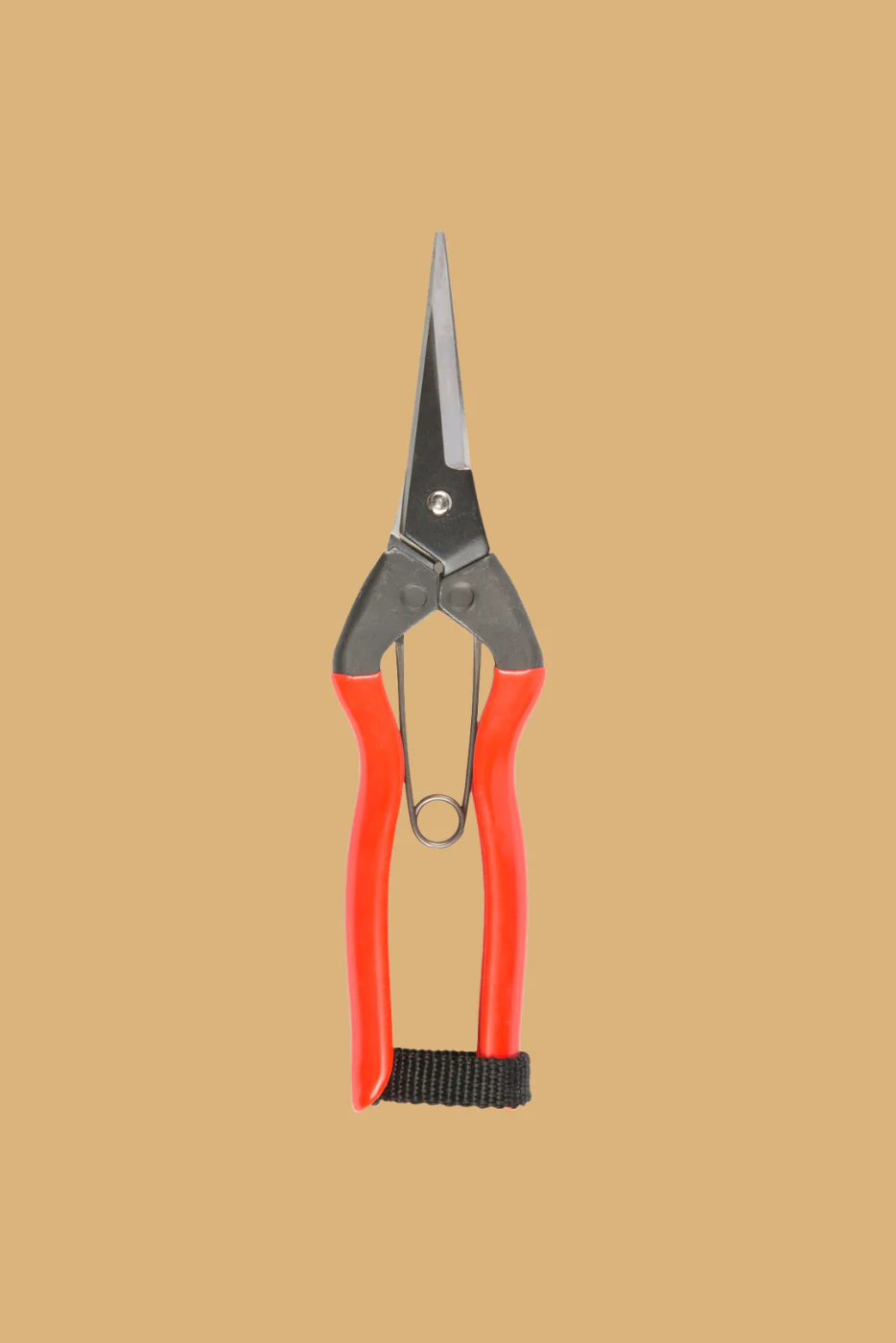 Garden Snips