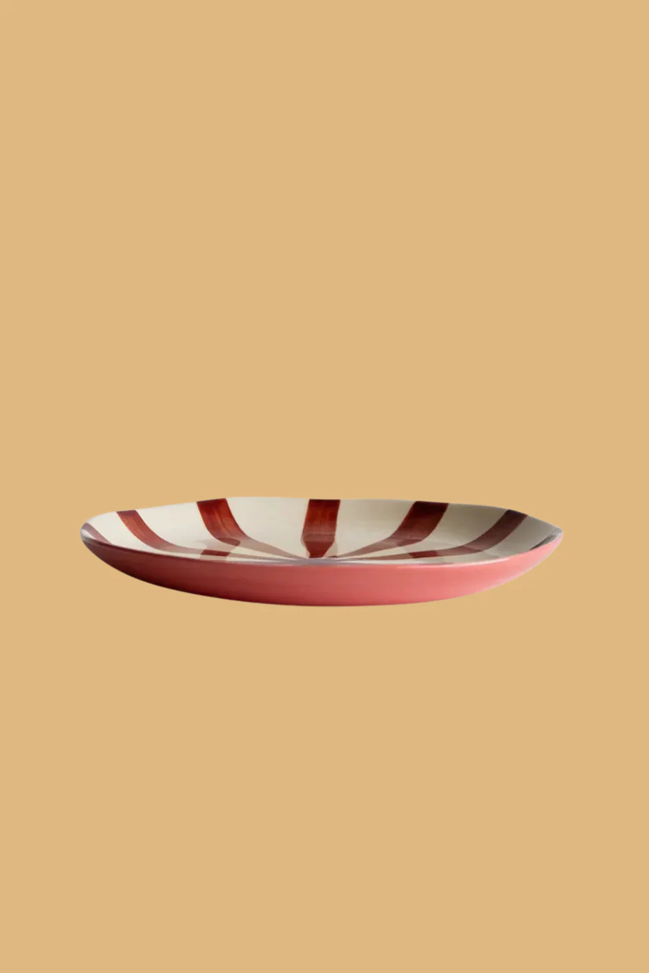 Supper Plate in Desert - Image 2